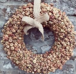 Best Fall Wreath Ideas
